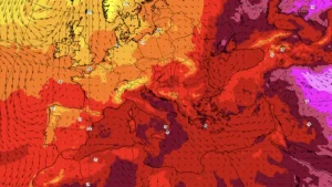 Emergenza caldo: dove seguire le migliori dirette streaming, reaction e aggiornamenti in tempo reale